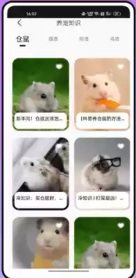 仓鼠翻译器在线翻译中文