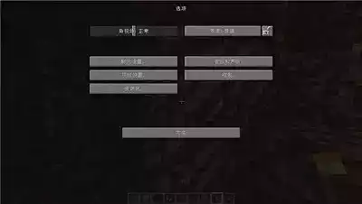 java启动器中文版