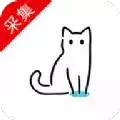 猫影视2.1.0.6