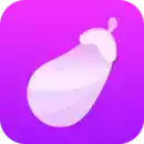 茄子视频软件app