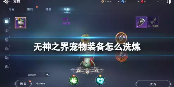 无神之界宠物装备怎么洗炼 无神之界宠物装备的洗炼技巧