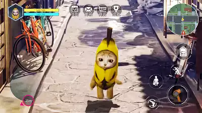 香蕉猫咪