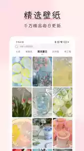 浪漫樱花抖音动态壁纸