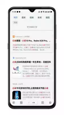 rains浏览器app