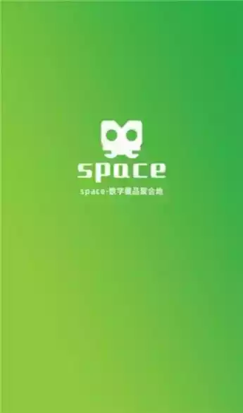 space数字藏品聚合地官网