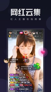 小鹰直播手机版触屏