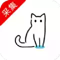 猫影视ios版