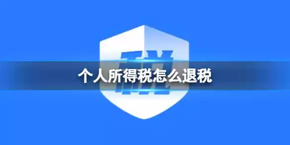 个人所得税怎么在软件中退税 个人所得税退税的操作方式